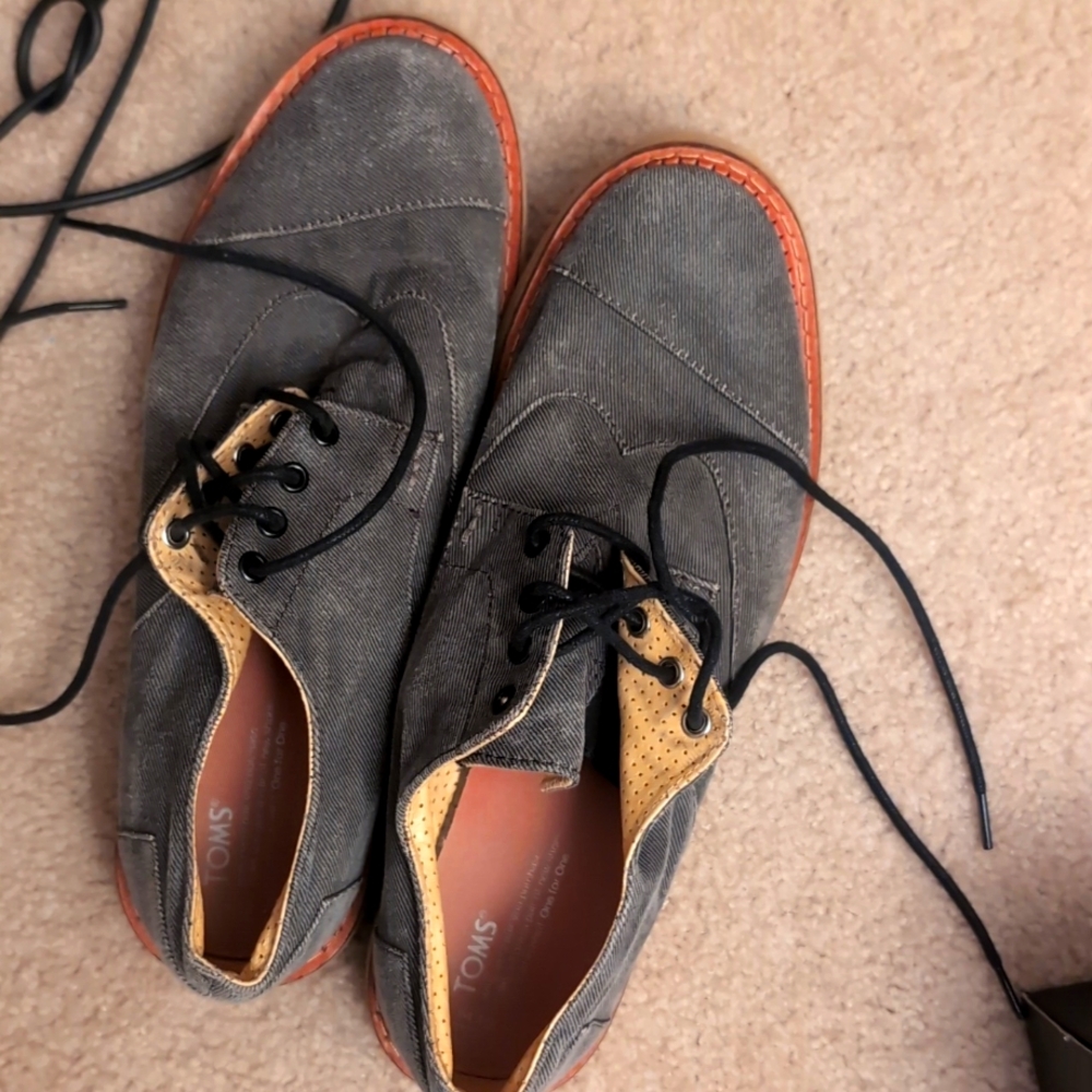 Toms Brogue Oxford
